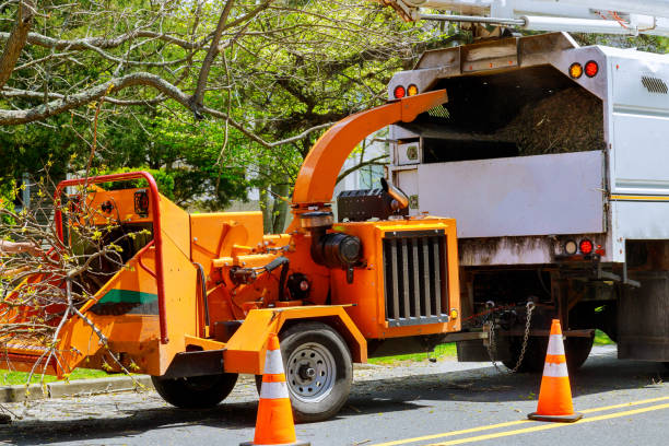 Breinigsville, PA  Tree Services Company